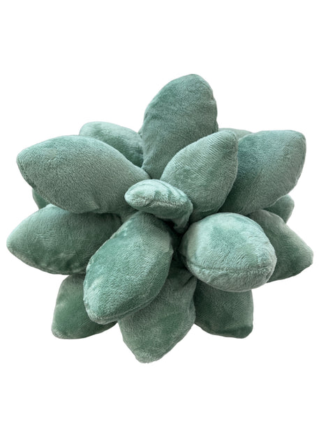 Cojines